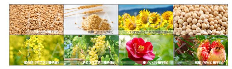 ８種類の美容植物オイル
